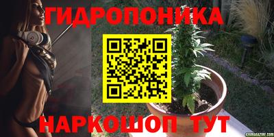 кокс Славгород