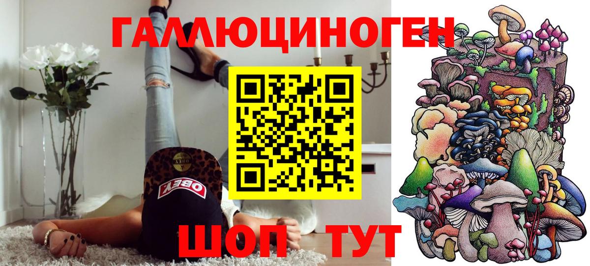 Псилоцибиновые грибы MAGIC MUSHROOMS  Вход с VPN  Прохладный  купить наркоту  Галлюциногенные грибы GOLDEN TEACHER 