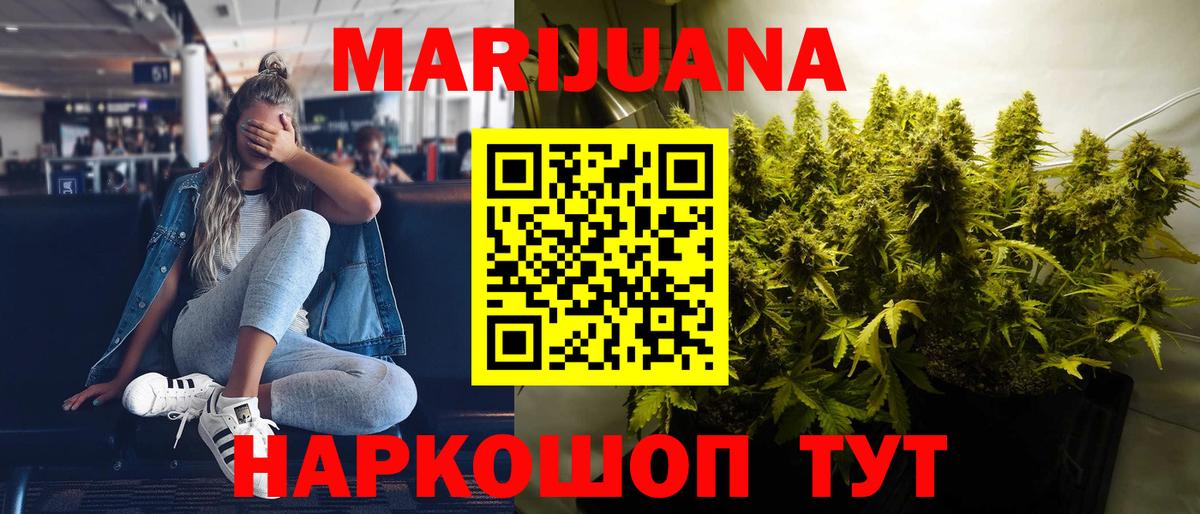 Каннабис планчик Прохладный